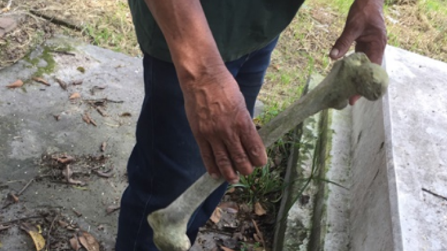 20 pesos es lo que te puede costar un hueso humano