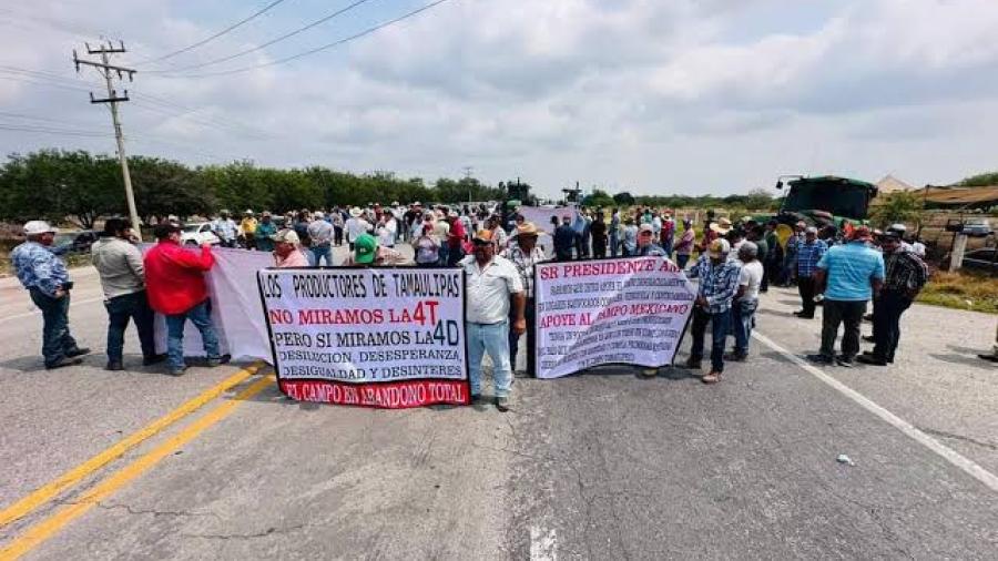Congreso de Tamaulipas exige a Hacienda apoyo a sorgueros