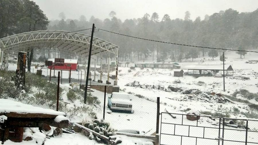 Durango se viste de blanco ante la caída de nieve en 9 municipios