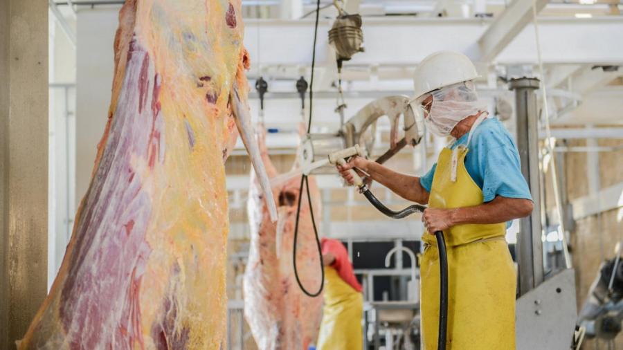 Mejora rastro municipal servicio a ganaderos