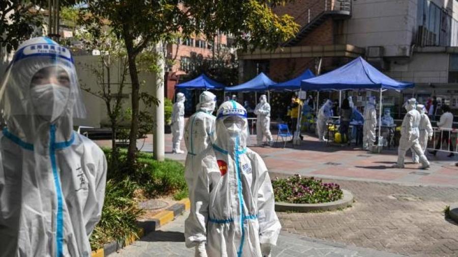 Denuncian asesinato de mascotas de pacientes con Covid-19 en Shanghái