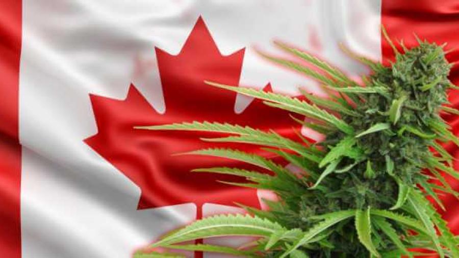 Canadá, primer país del G-7 en legalizar la marihuana recreativa