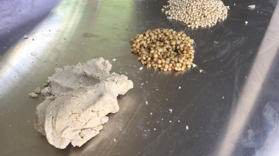 Promueven la elaboración de masa de tortilla a base de sorgo blanco