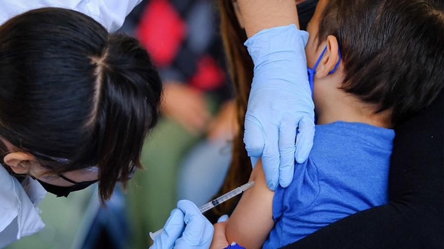 Iniciará proxima semana vacunación contra Covid-19 a niños de 5 a 11 años en 8 municipios de Tamaulipas