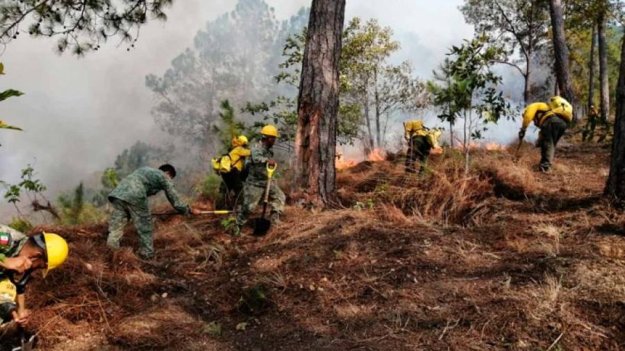 México cuenta con 50 incendios activos en 12 estados: Conafor