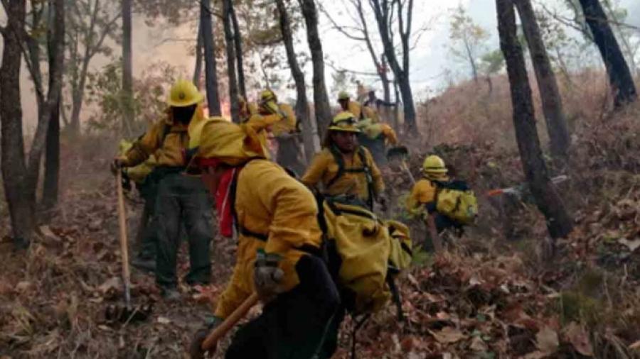 Hay 46 incendios forestales activos en el país