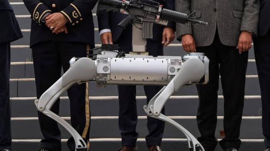 Zacatecas evalúa incorporar perro robot armado para operativos de seguridad
