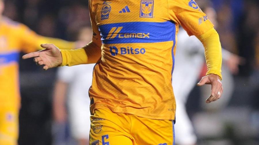 Tigres a la final