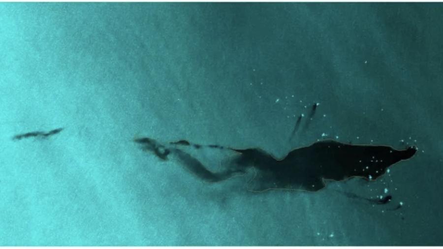 Derrame de petróleo en mar de Campeche llegaría a Tamaulipas