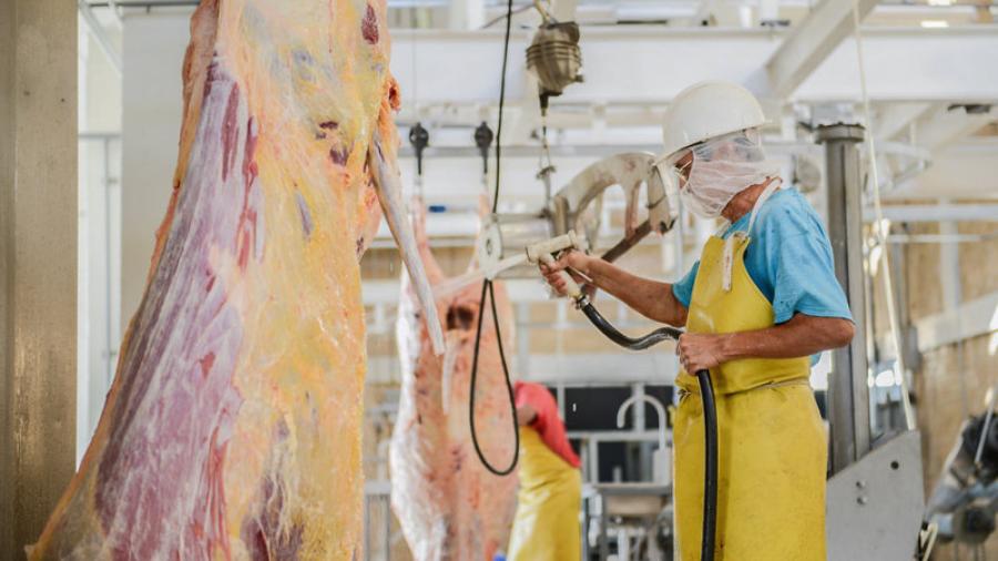 Habrá laboratorio de análisis animal