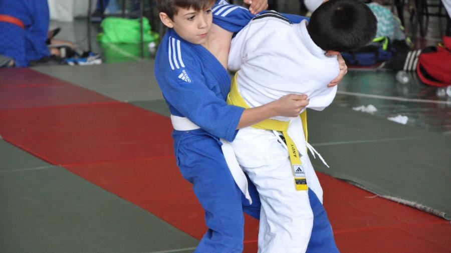 Realizarán Estatales de tiro con arco, judo y ajedrez