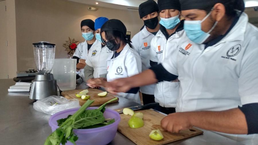 Estudia la UAT el aprovechamiento integral de la moringa