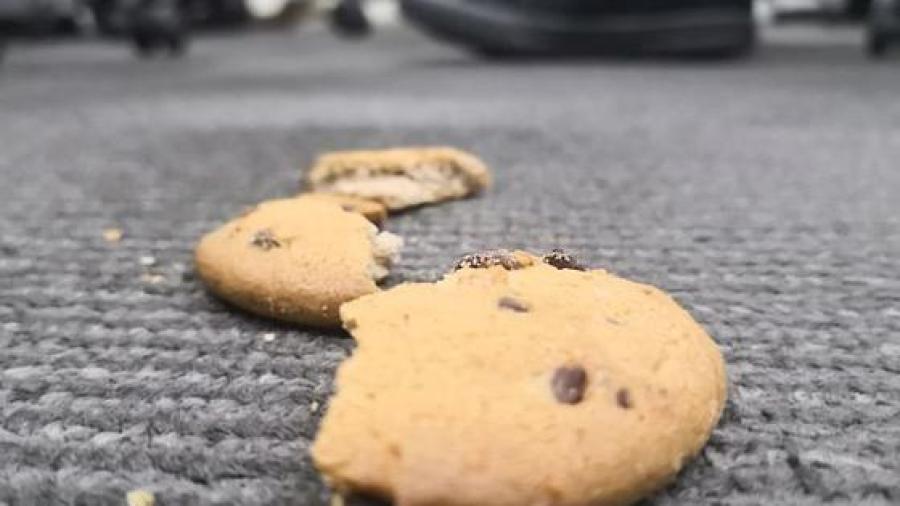 Muere niña de 2 años en Jalisco; le había aventado una galleta envenenada a su perro