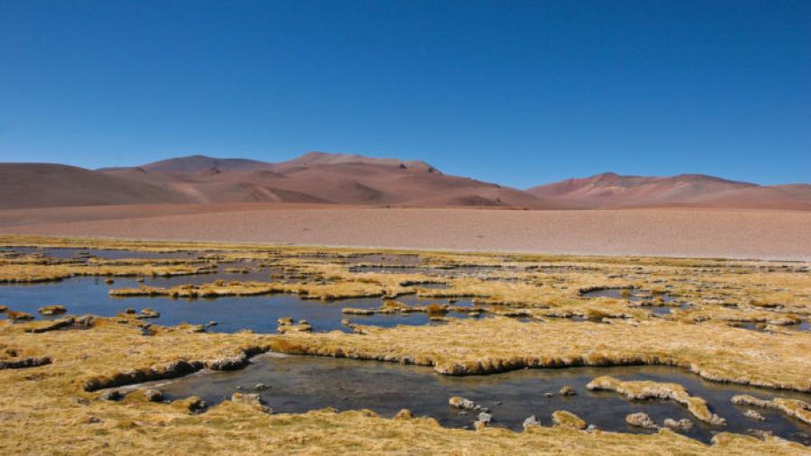 ¡Increíble! Llueve en el desierto de Atacama