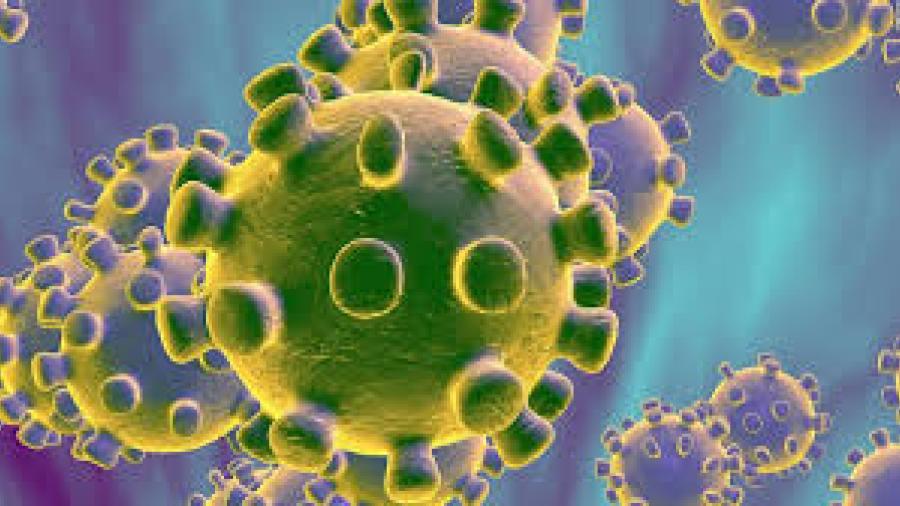 Confirman 9 casos nuevos de coronavirus en Tamaulipas, son en Tampico, Madero y Altamira. Suman ya 239