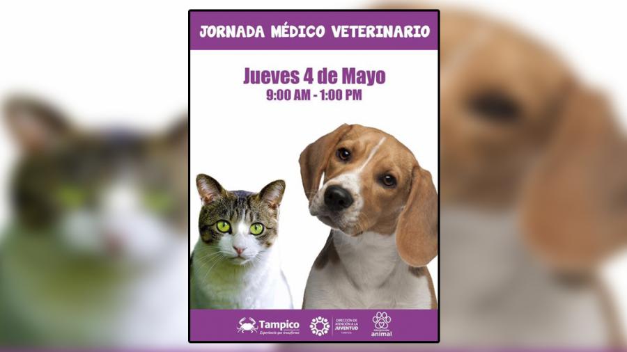 Realizan hoy jornada medico veterinario en Tampico
