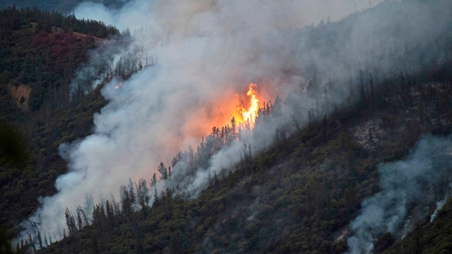 Parque Yosemite en California es amenazado por incendio