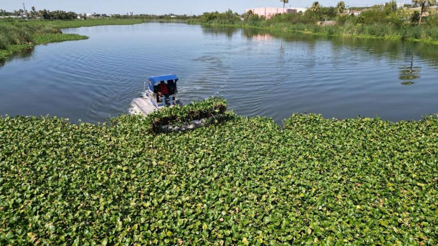 Presentan Plan de Rescate Ambiental, arrancan en El Laguito
