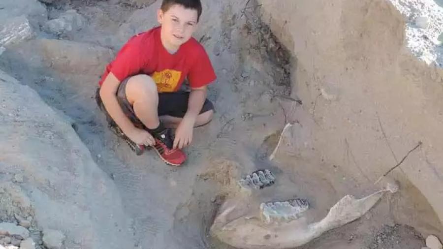 Encuentra niño nueva maravilla prehistórica