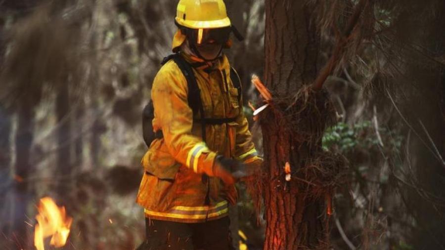 Incendio forestal deja ocho muertos en Perú
