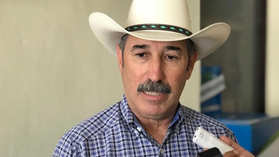 Lluvias benefician al sector ganadero