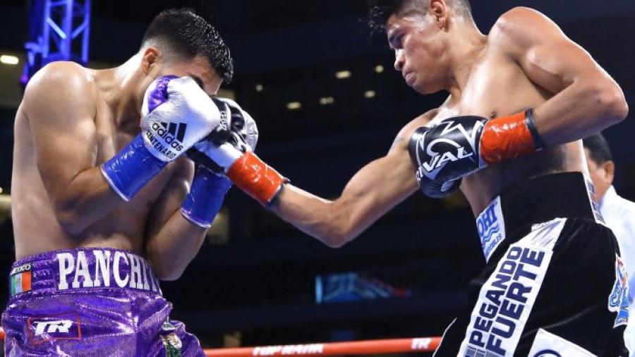 Box en vivo regresa a México