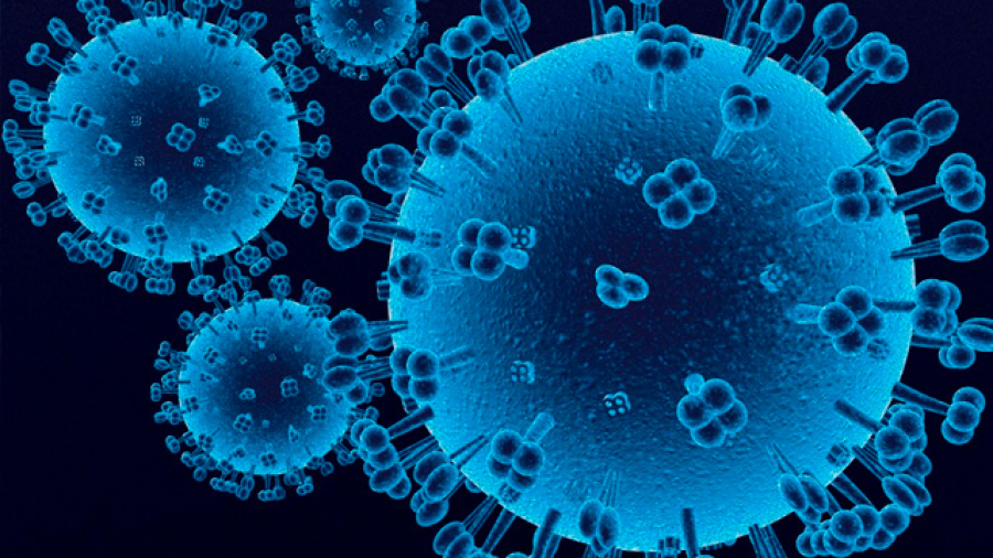 Suman 11 casos de coronavirus en el Condado de Hidalgo 