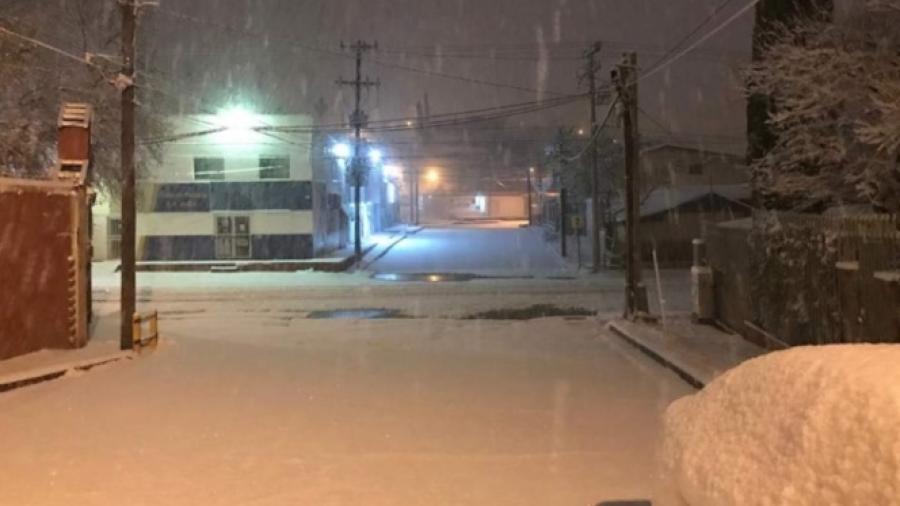 38 municipios de Sonora en emergencia tras nevadas