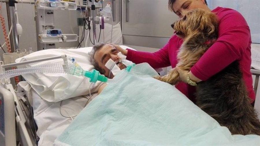 Anciano reacciona del coma gracias a la visita de su perra en el hospital