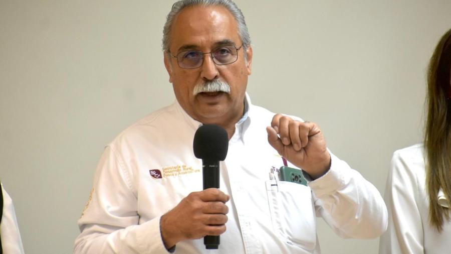 Ocupa Tamaulipas segundo lugar en producción de carbón