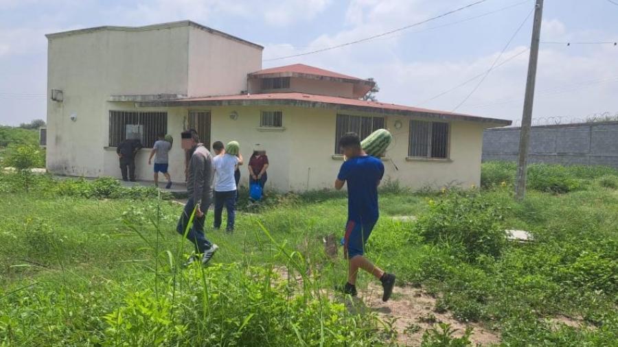 Adolescentes en conflicto con la Ley Penal siembran y cosechan sandías en huertos comunitarios