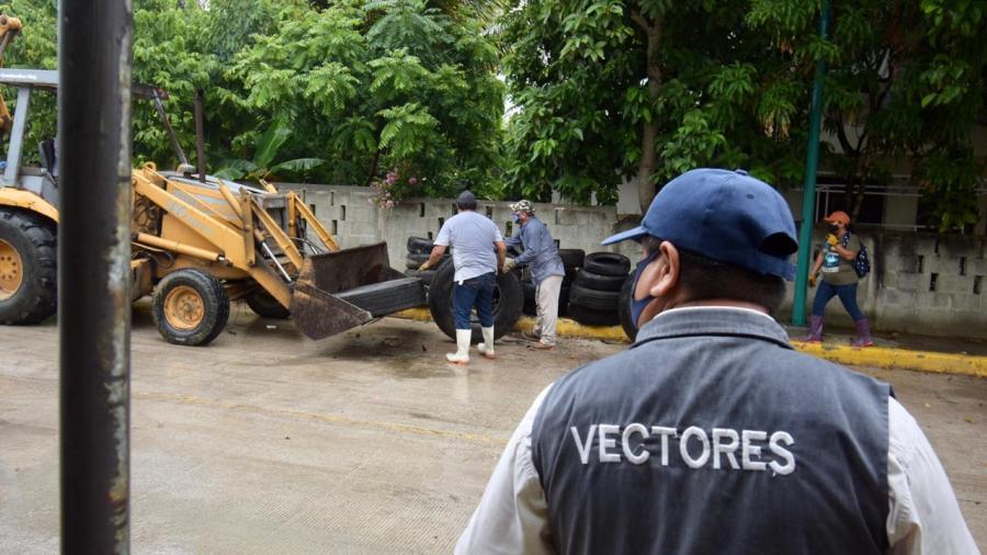 Unen esfuerzos Gobierno de Altamira y Secretaría de Salud para evitar enfermedades vectoriales