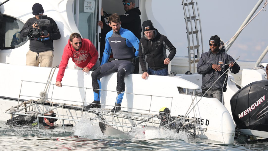 Michael Phelps se mide contra un tiburón