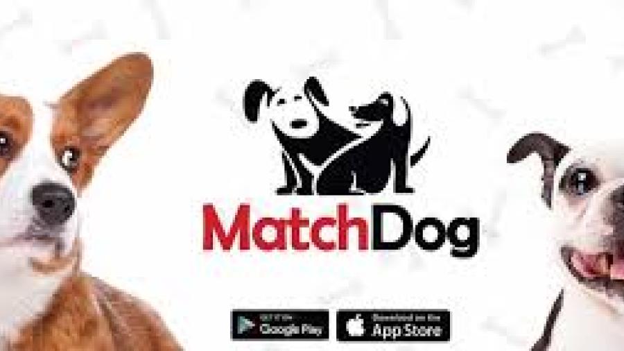 Ya existe una app para encontrarle pareja a tu perro