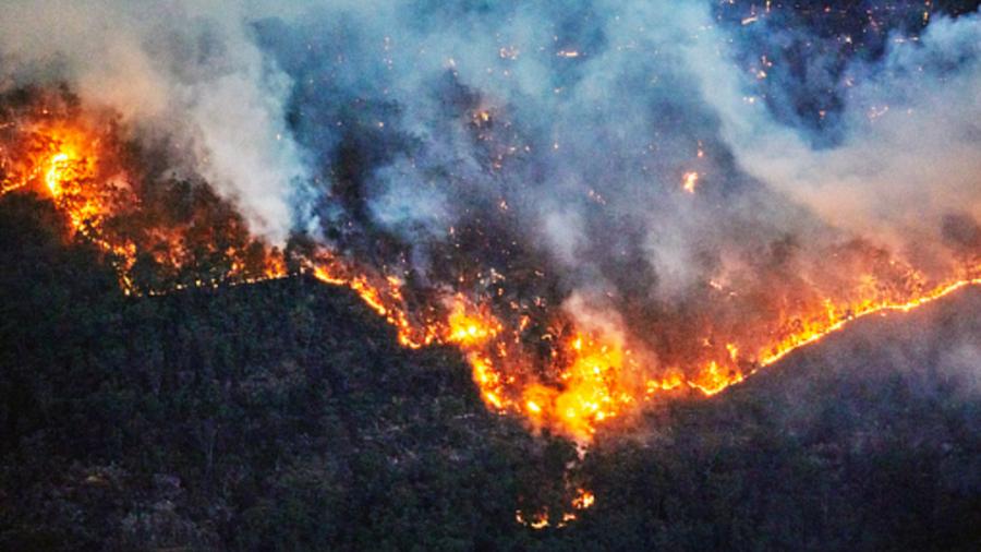 Expertos advierten que cambio climático se está intensificando; fenómenos extremos aumentarán