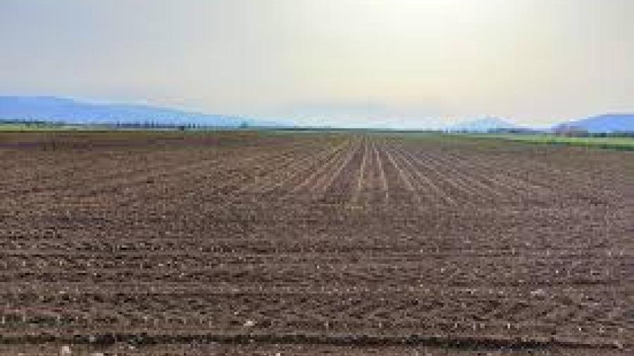 Agricultores colapsados y sin recursos para preparación de tierras
