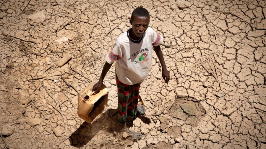  En Somalia por falta de agua y alimento reportan 26 muertes
