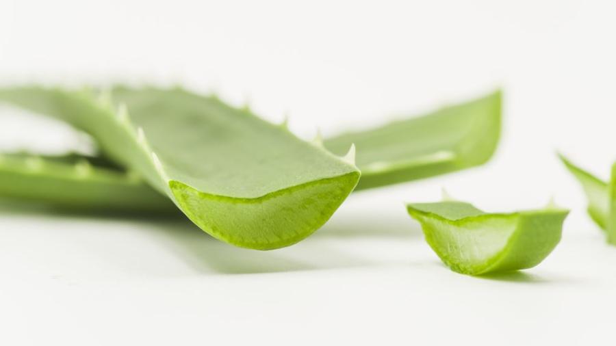 Profeco descubre bebidas de Aloe Vera con porcentajes casi nulos.