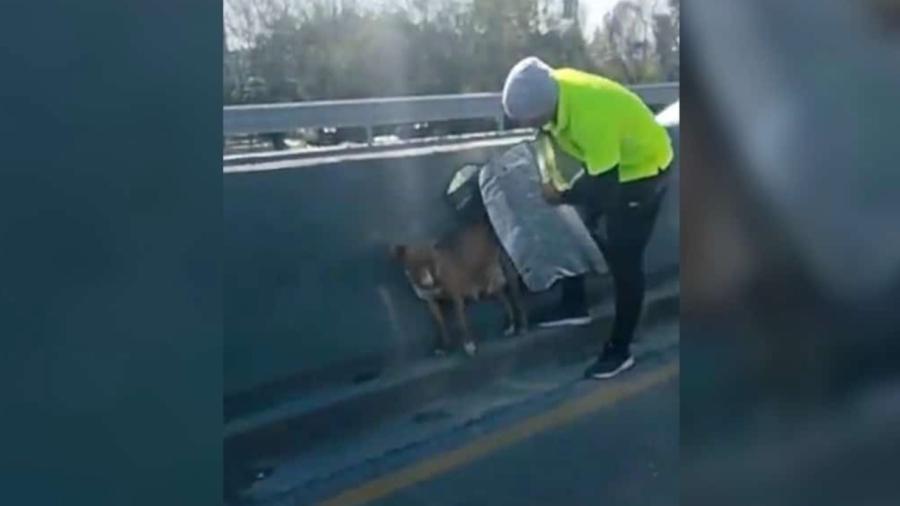 Hombre rescata a perrita en una avenida en Nuevo León
