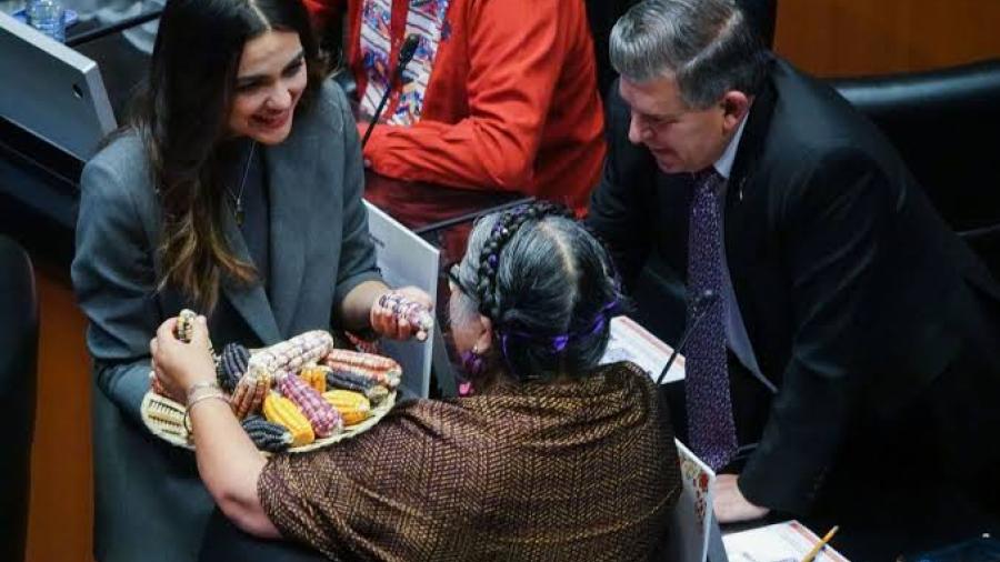 Senado aprueba reforma para prohibir maíz transgénico; pasa a Congresos Estatales 