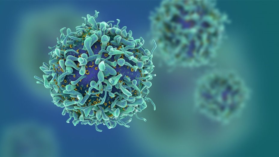 Científicos eliminan por primera vez del genoma el ADN del VIH en animales vivos