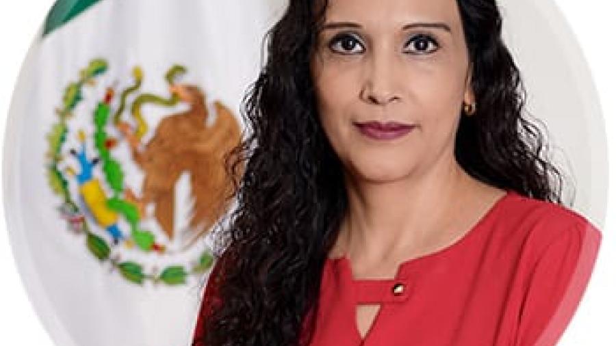 Fallece Icela Moreno, Coordinadora de la Comisión de Desarrollo Sustentable y Cambio Climático