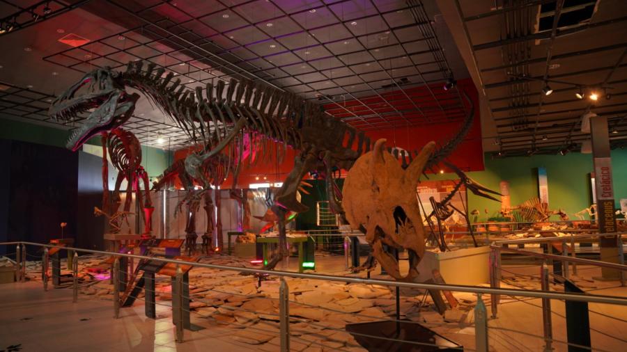 Invita Gobierno Municipal a divertirse en museos de la ciudad 