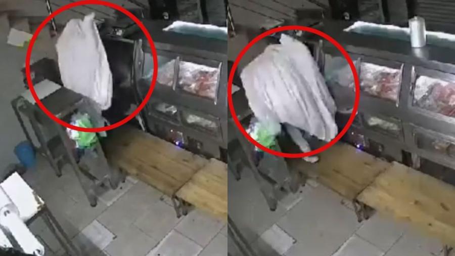 Ladrón se disfraza de “fantasma” para robar una carnicería en Guanajuato