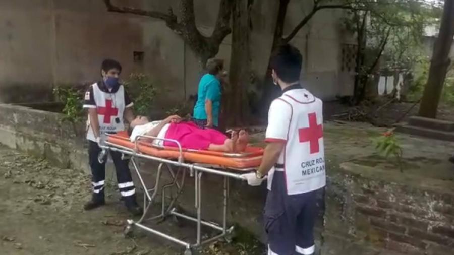 Atacan abejas a mujer de 89 años