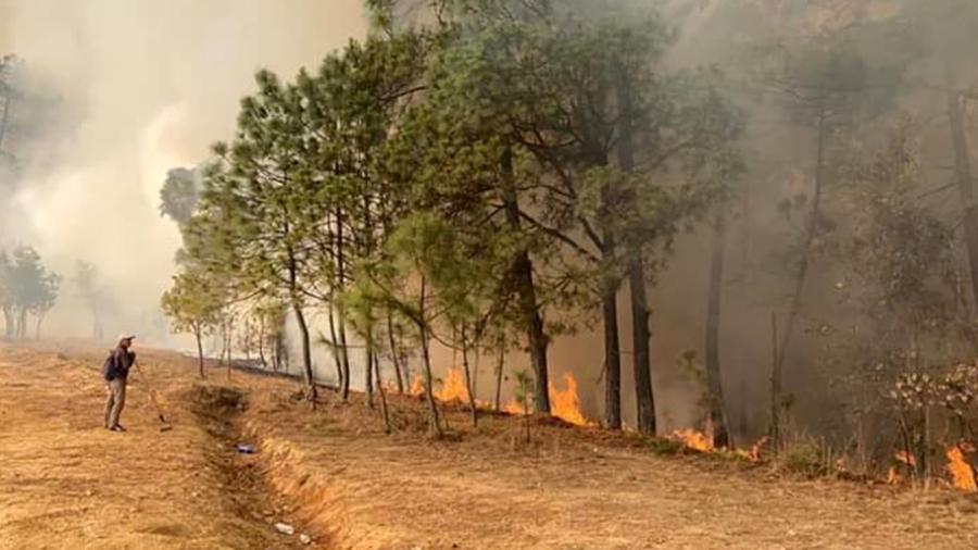 5 fallecidos por incendio en región Mixteca