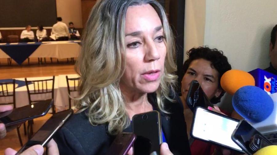 Mujeres que abortan no pueden ser criminalizadas: María Elena Figueroa