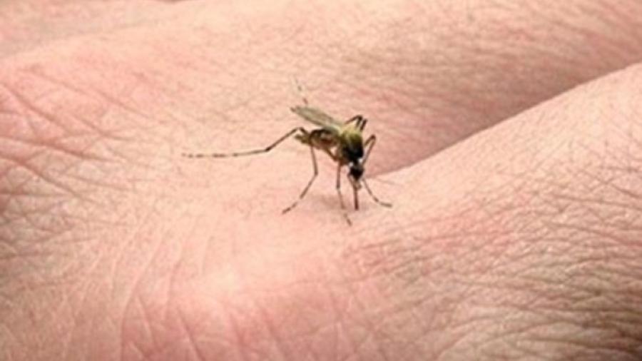 Más de mil 100 muertos por dengue en Filipinas