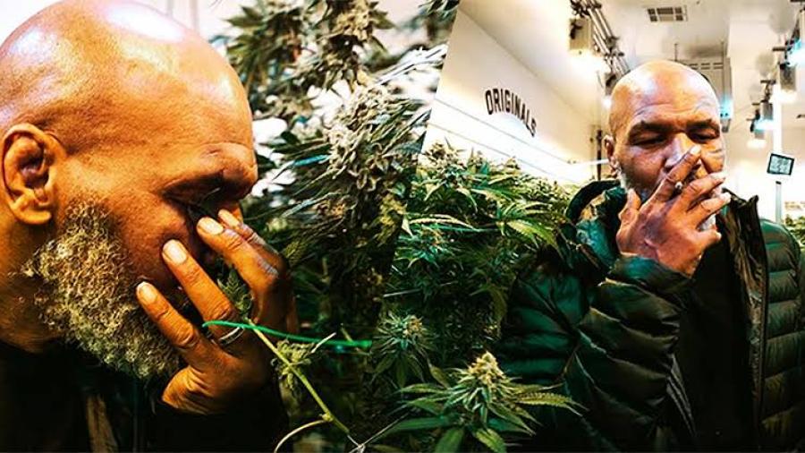 Mike Tyson hace fortuna con venta de Marihuana