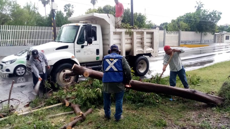 Desarrolla Municipio operativo de limpieza y de vialidades y pluviales